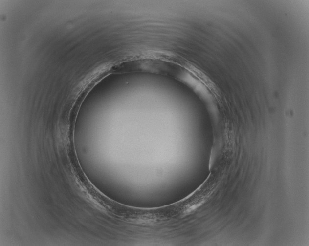 X0000084540485200703091657