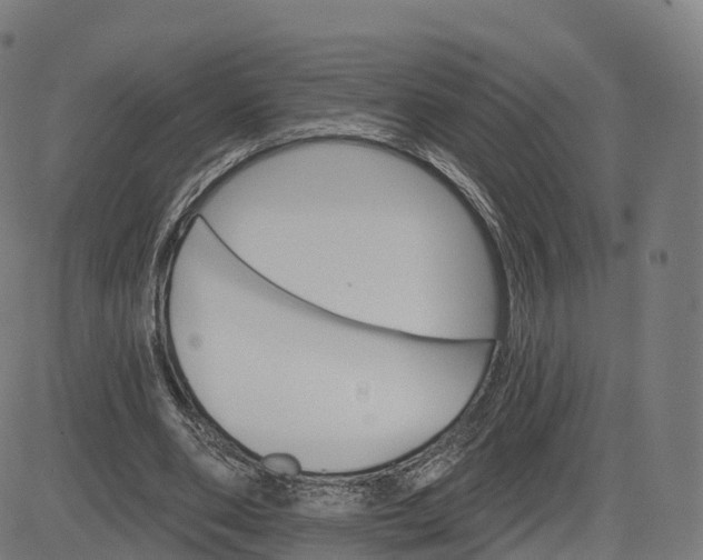 X0000084540486200703091657