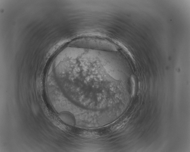 X0000084540487200703091657