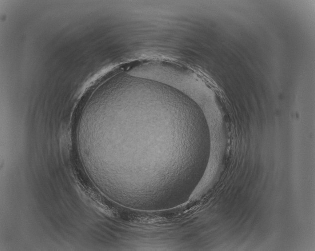 X0000084540488200703091657