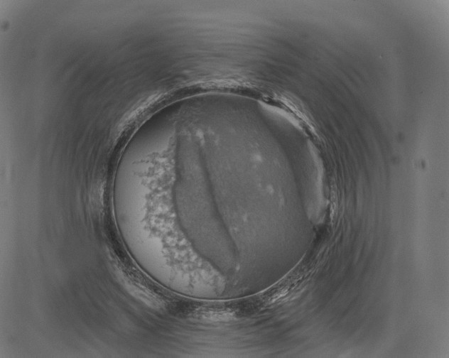 X0000084540491200703091657