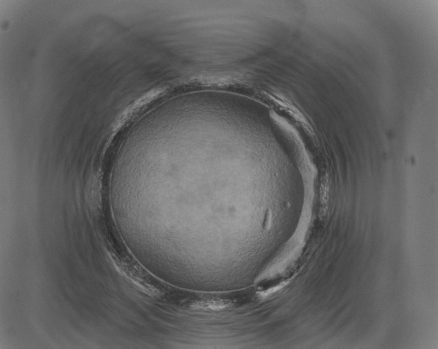 X0000084540492200703091657