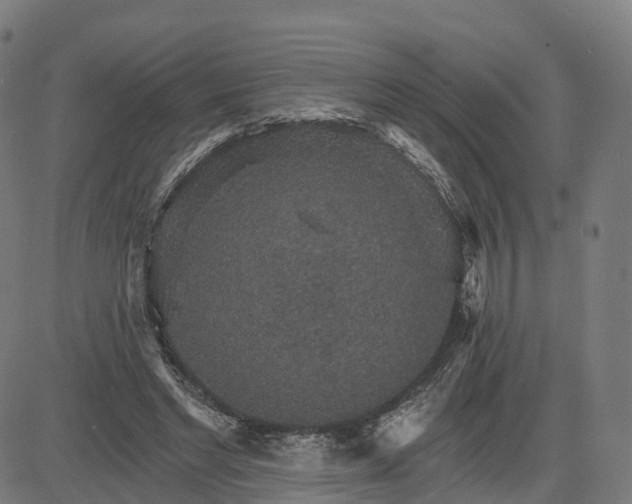 X0000084540493200703091657