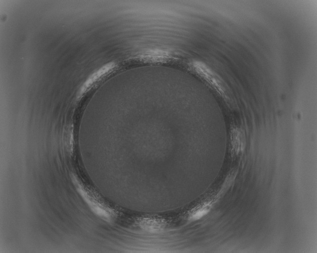 X0000084540494200703091657