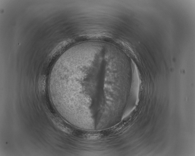 X0000084540495200703091657