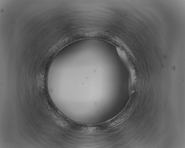 X0000084540497200703091657