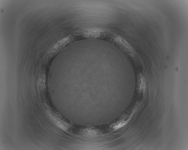 X0000084540498200703091657