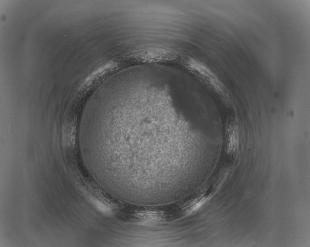 X0000084540499200703091657