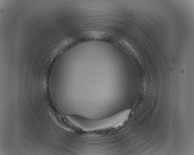 X0000084540500200703091657