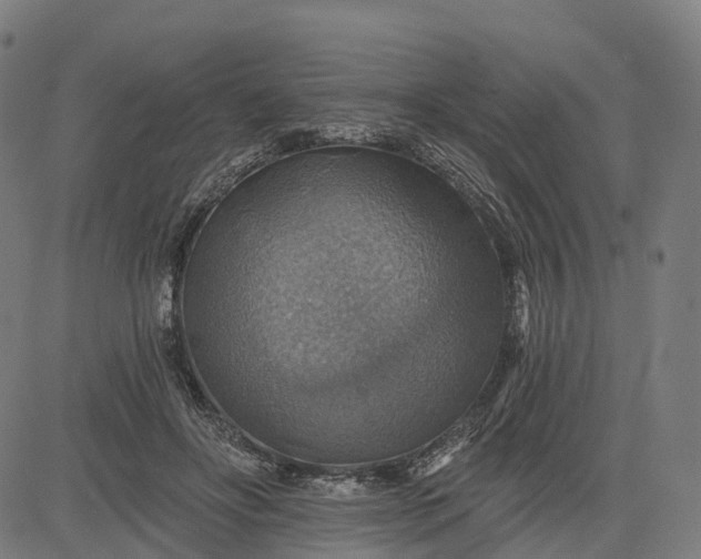 X0000084540502200703091657