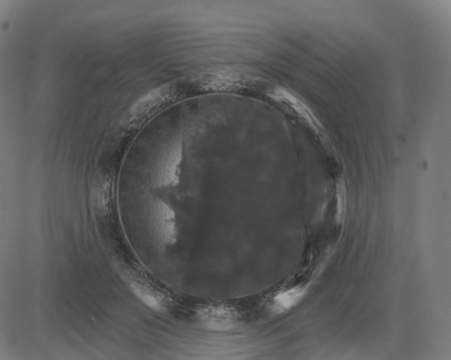 X0000084540503200703091657