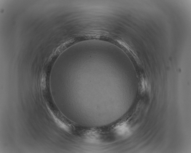 X0000084540504200703091657