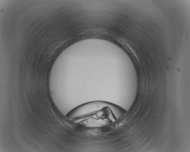 X0000084540505200703091657