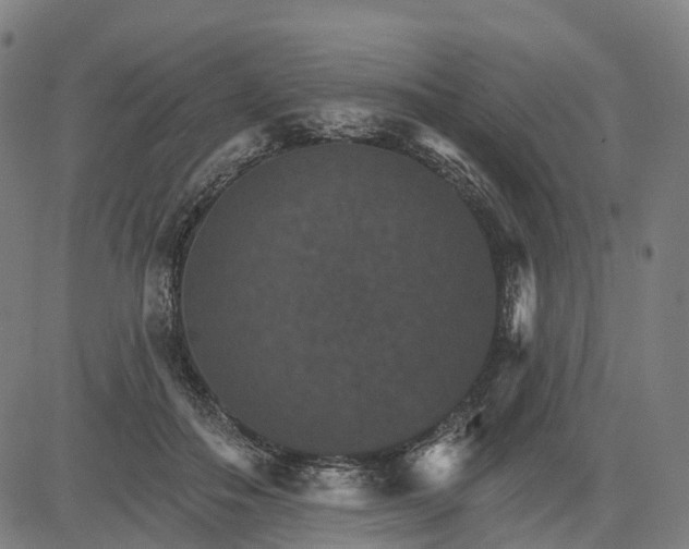 X0000084540506200703091657