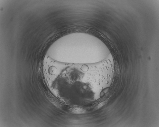 X0000084540507200703091657