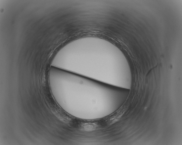 X0000084540508200703091657