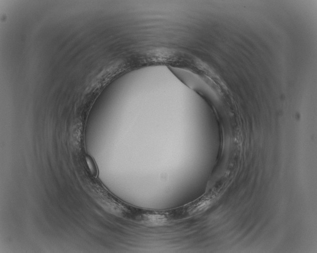 X0000084540509200703091657