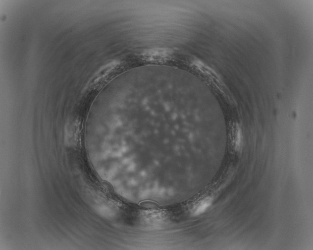 X0000084540511200703091657