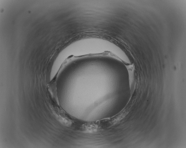 X0000084540512200703091657