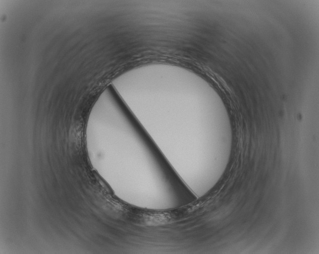 X0000084540513200703091657