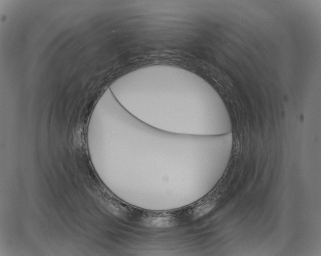 X0000084540514200703091657