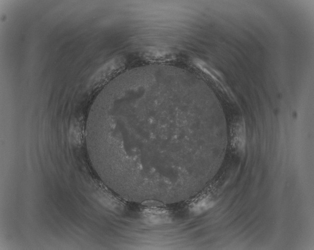 X0000084540515200703091657