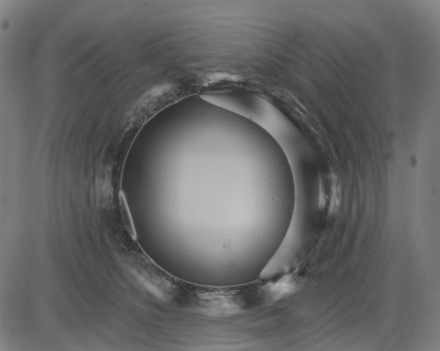 X0000084540516200703091657