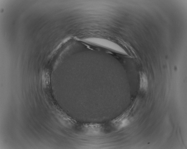 X0000084540517200703091657