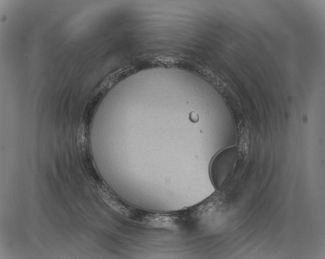 X0000084540518200703091657