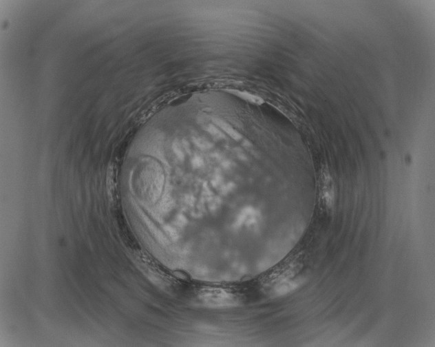 X0000084540519200703091657