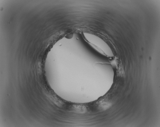 X0000084540520200703091657