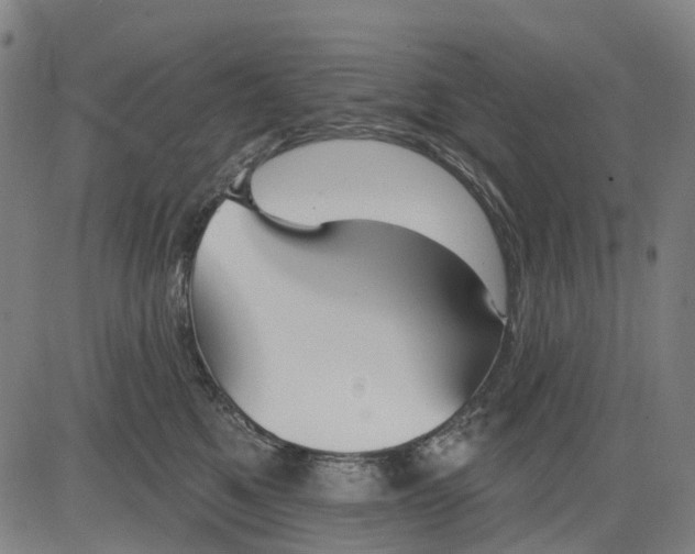 X0000084540521200703091657