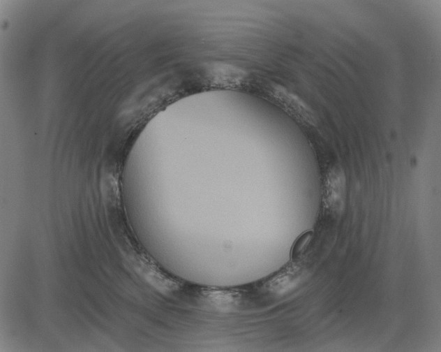 X0000084540522200703091657