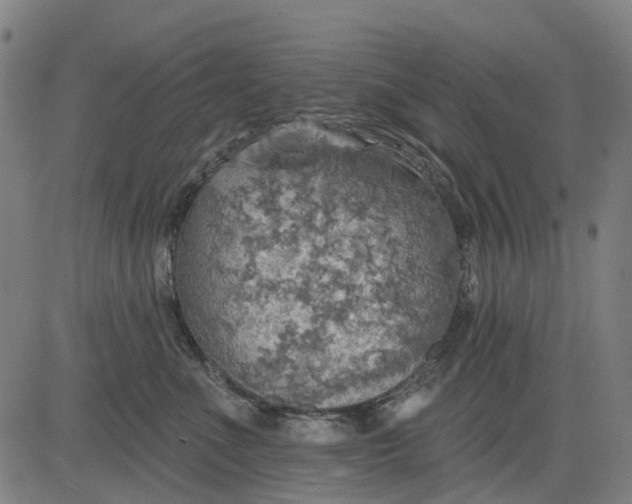 X0000084540523200703091657