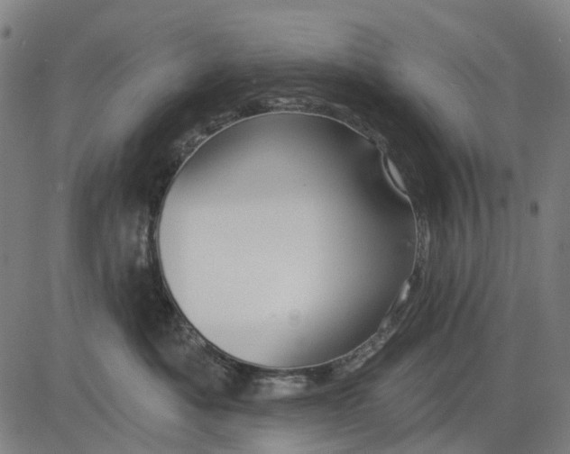 X0000084540525200703091657