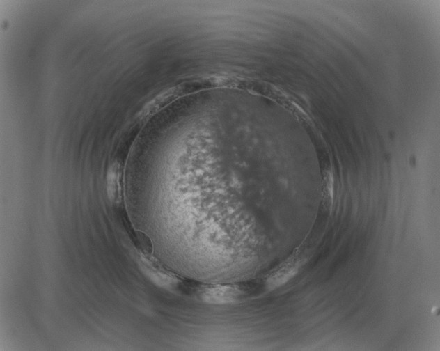 X0000084540527200703091657