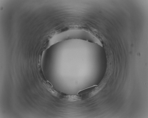 X0000084540528200703091657