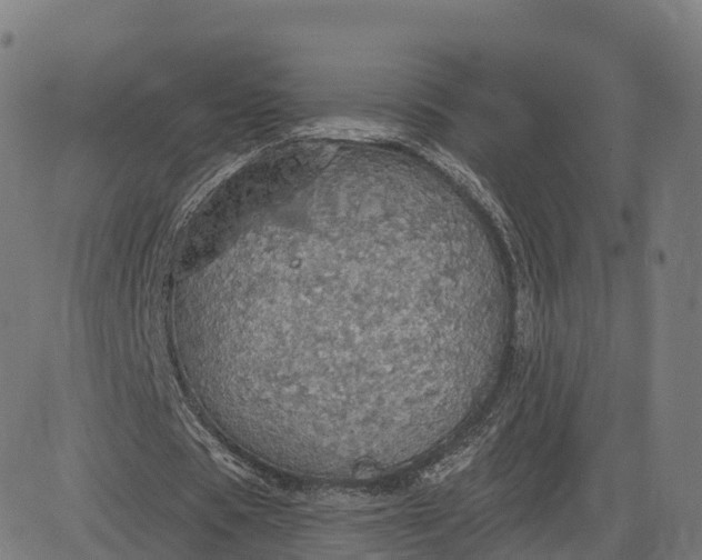 X0000084540529200703091656