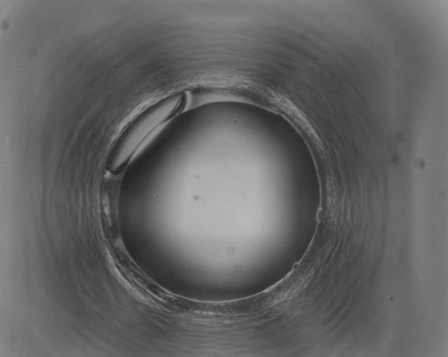 X0000084540530200703091656