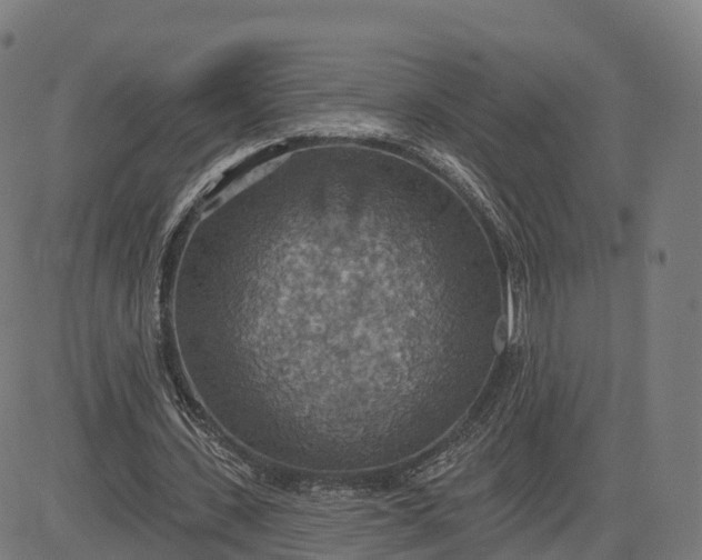 X0000084540531200703091656