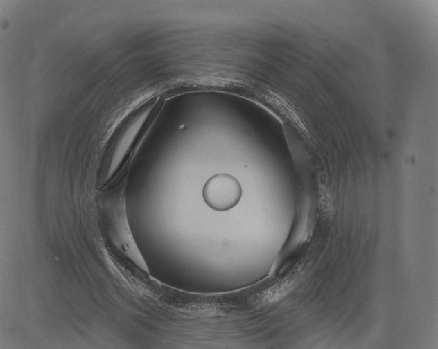 X0000084540534200703091656