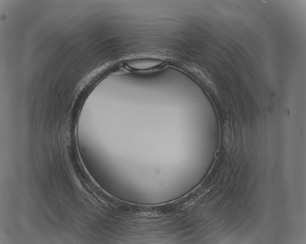 X0000084540536200703091656