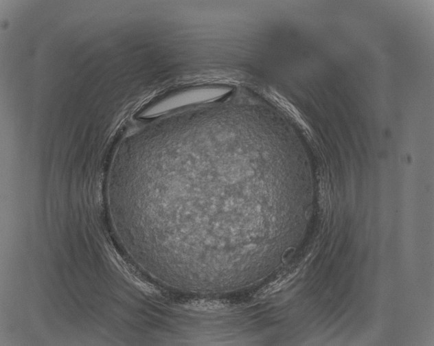 X0000084540537200703091656