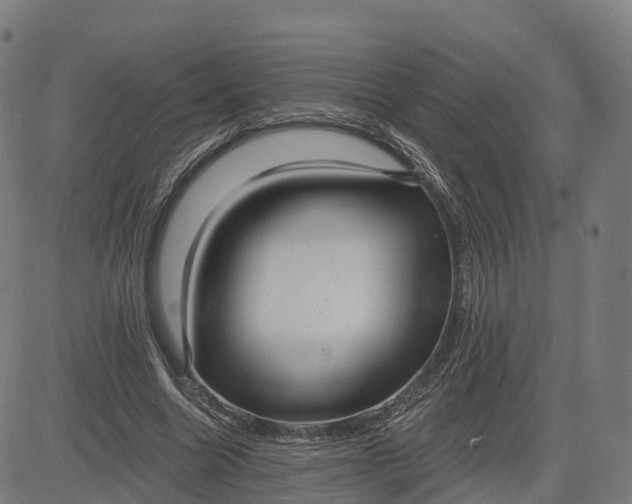 X0000084540538200703091656