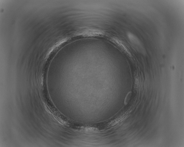 X0000084540539200703091656