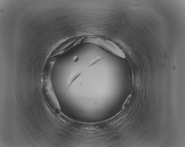 X0000084540540200703091656