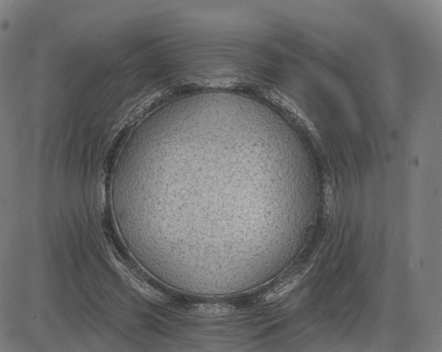 X0000084540541200703091656