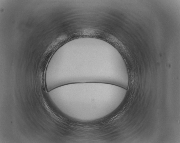 X0000084540542200703091656