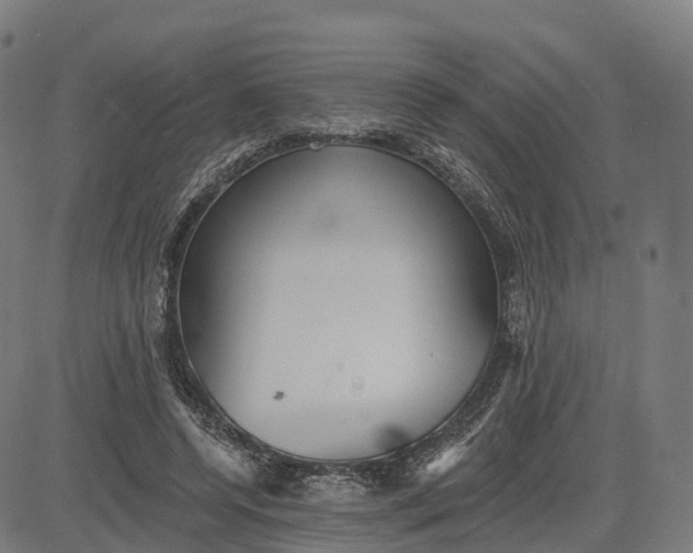 X0000084540544200703091656