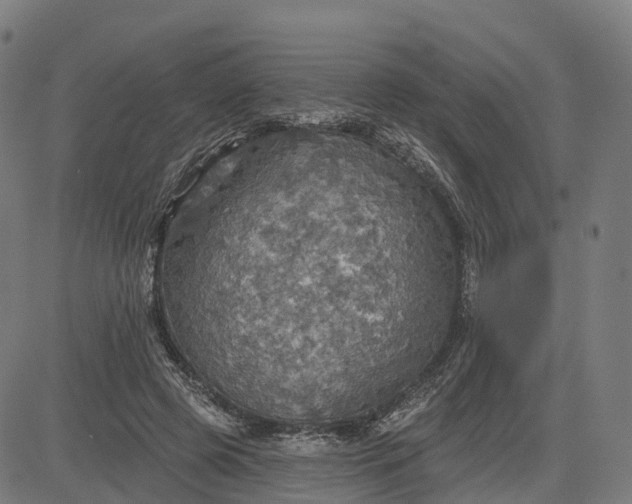 X0000084540545200703091656